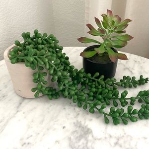 Two Small Faux House Plants String of Pearls and Succulent